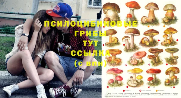 мет Алзамай