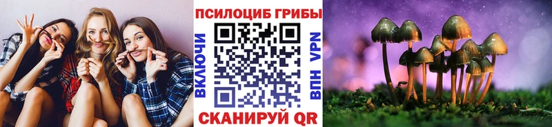Псилоцибиновые грибы прущие грибы  наркошоп  Анжеро-Судженск 