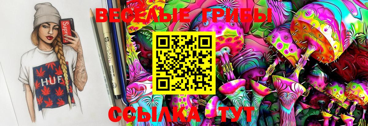Анжеро-Судженск  хочу   Вход с VPN  Галлюциногенные грибы GOLDEN TEACHER 